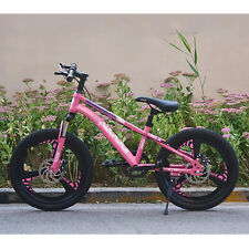 20 inch Bike Pink Bicycle