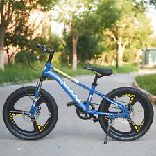 18 20 22 24 Inch Kids Bike
