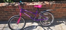 Girls 20 Inch Purple/Pink